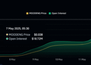 Meme Coin Solana MOODENG Reli 700% dalam Seminggu, Incar All-Time High Baru
